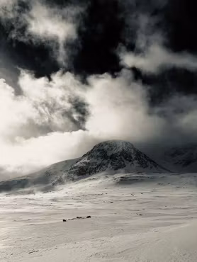 Hallingskarvet Nasjonalpark s/k