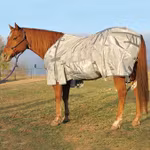Light Weight Fly Sheet