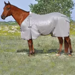 Economy Fly Sheet
