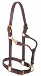 1" Track Halter
