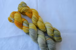 Gold sparkle - Cockatiel