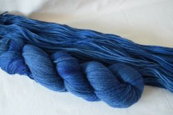 Organic DK - Whales Dancing Tango