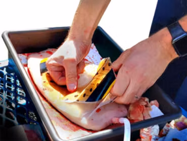 Chest seal application trainer  [TrueClot®]