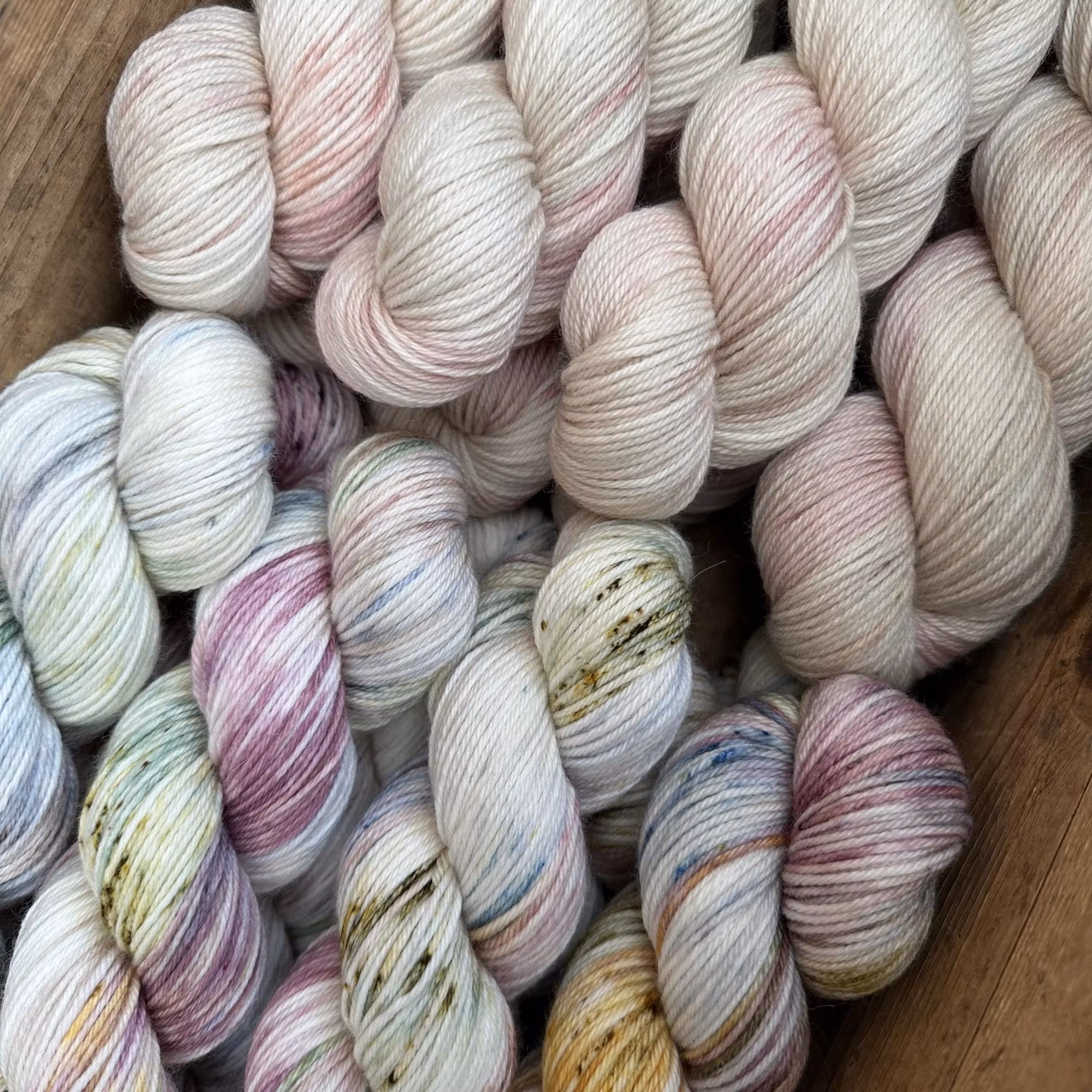 Myran > Nyhet Bästisklubben