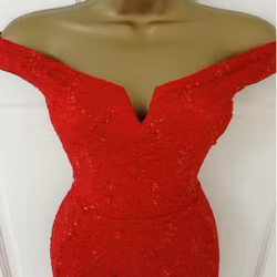 Red Lace Sequin Bardot Fishtail