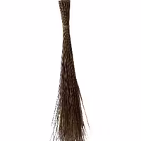 Walis tingting