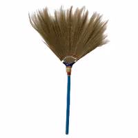 Walis tambo