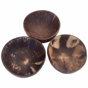 3 coconut shells