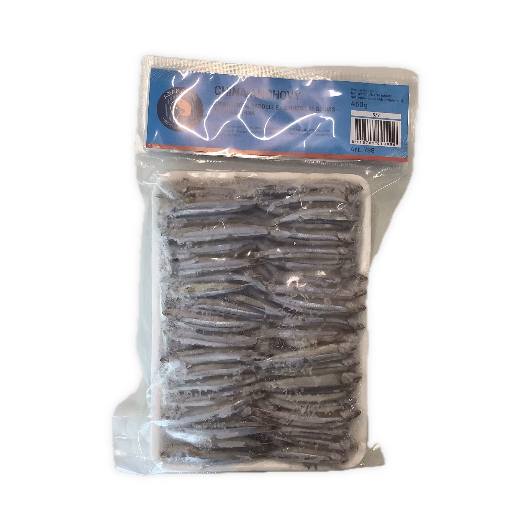 Asian pearl china anchovy