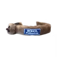 Hair bond souvenir from bohol blue
