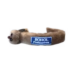 Hair bond souvenir from bohol blue