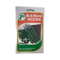 Ramgoseeds patola 10g