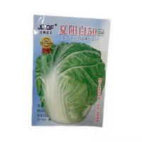 Lettuce seeds 10g