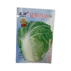 Lettuce seeds 10g