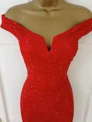 Red Lace Sequin Bardot Fishtail