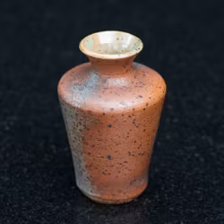 Minivas
