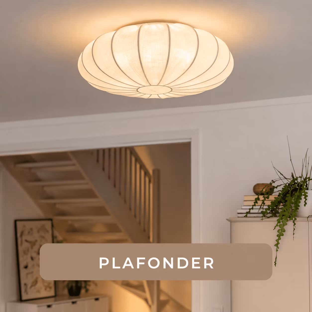 Plafonder - Xander of Sweden