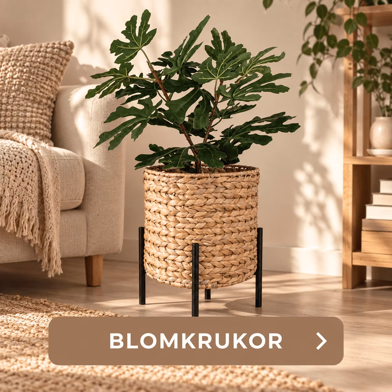 Blomkrukor - Xander of Sweden