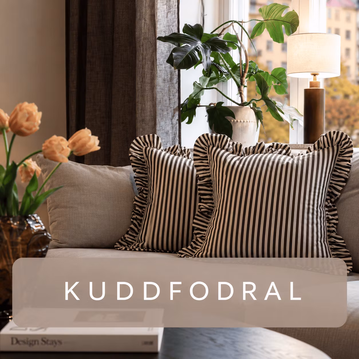 Xander of Sweden > Kuddfodral