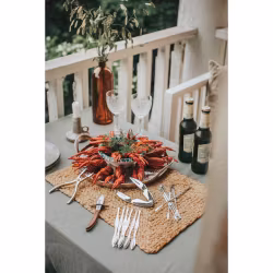 Skai Skaldjursset 15 delar för hummer kraba kräftor