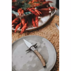 Ona Ostronkniv rostfritt stål Akacia handtag16,5 cm