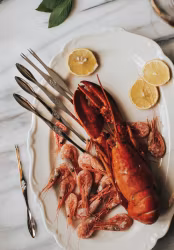 Skai Skaldjursgaffel 6 st rostfritt stål 16,5 cm