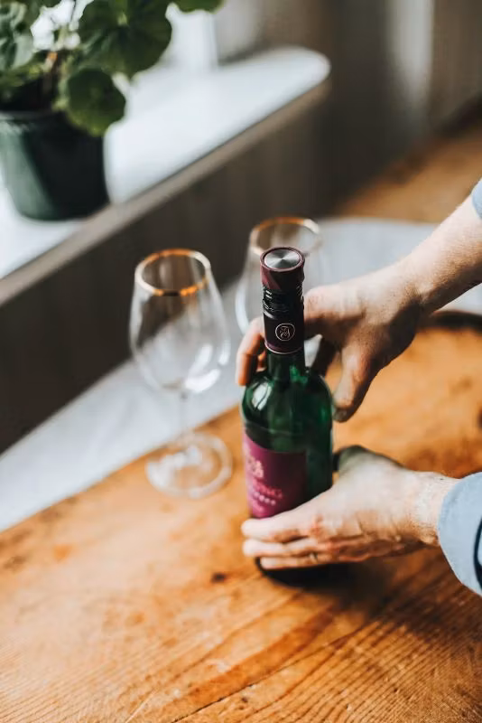 Vivi Vinförslutare 2pack svart,vinröd silikon rostfritt stål 3,2*4,5cm