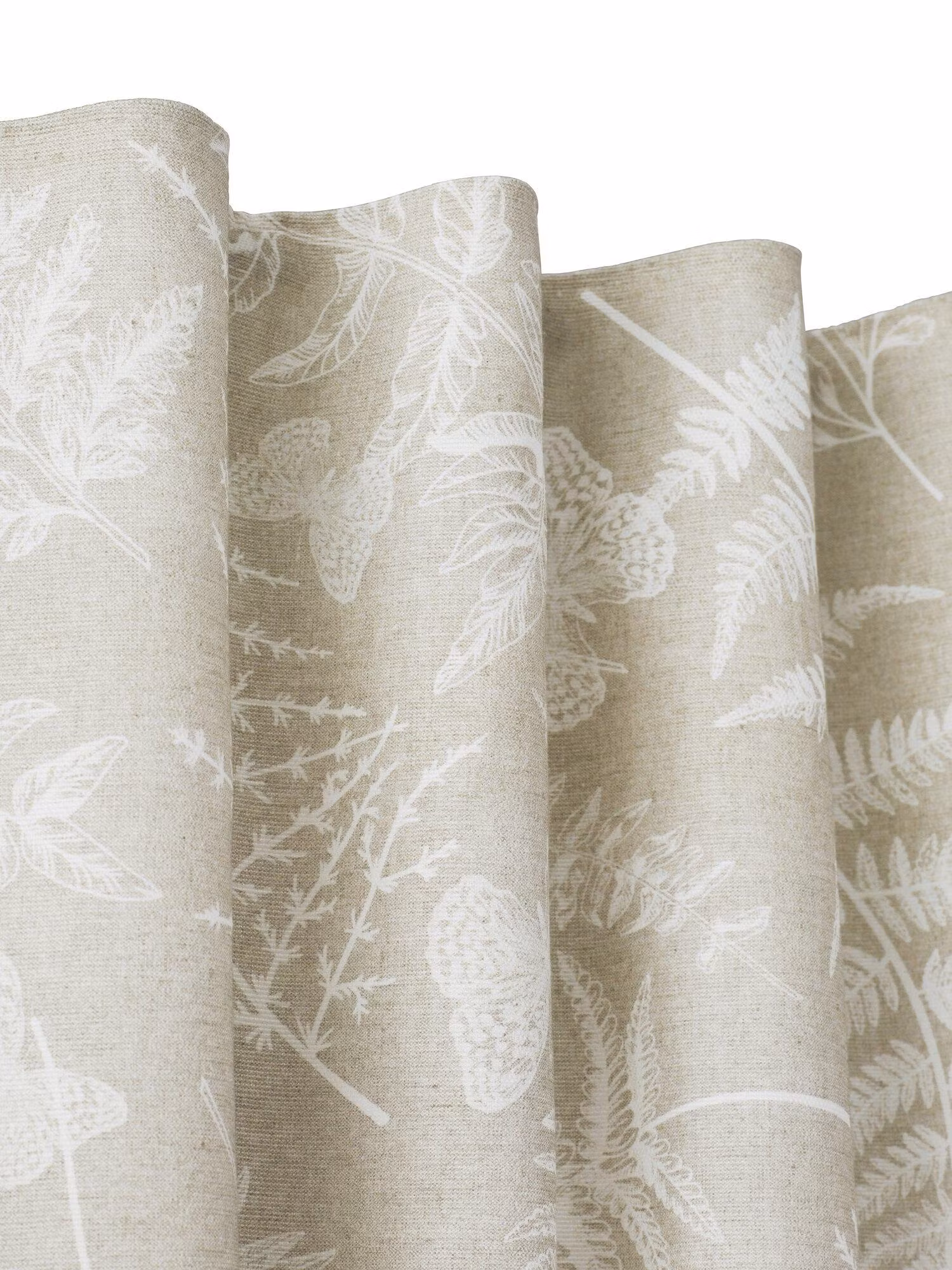 Fern Gardin 2P