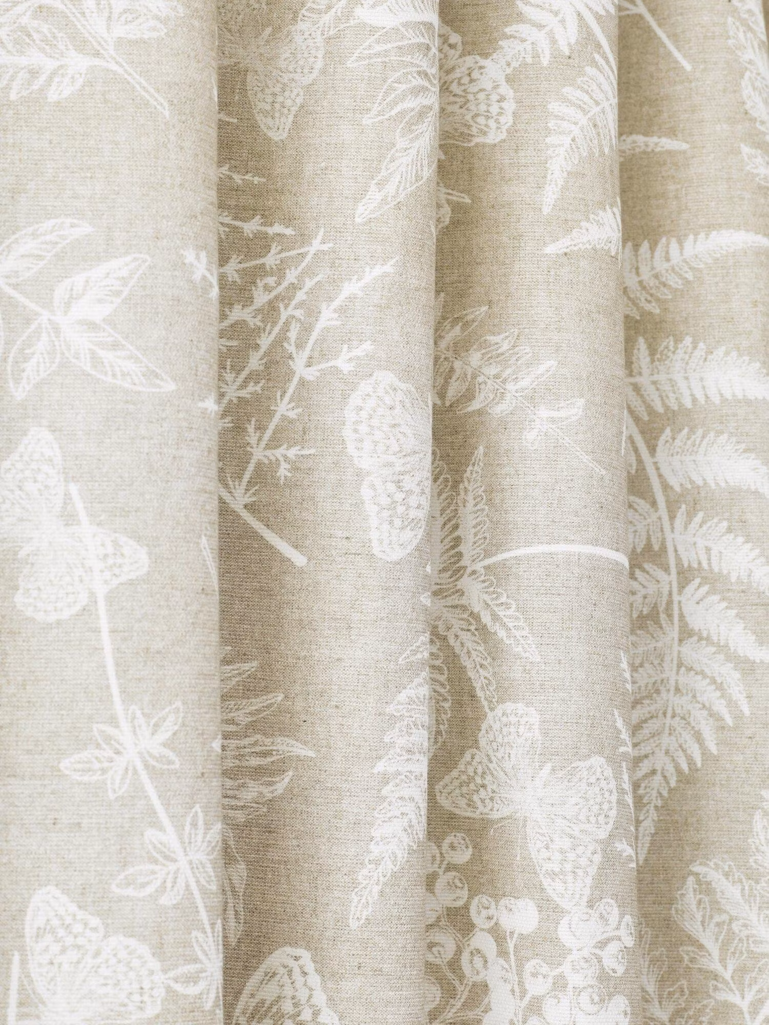 Fern Gardin 2P