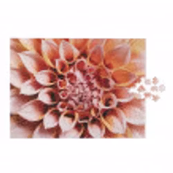 Pussel Wildlife Dahlia