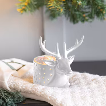 Ljushållare Ren Vit