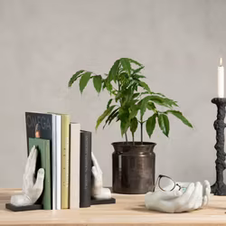 Bokstöd Händer Grå Poly