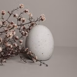 Bjuv litet naturfärgat ägg 8 cm