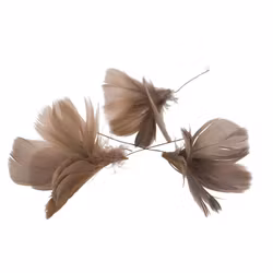 Fjäder Trådad Blom Mullvad 12 pack