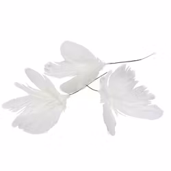 Fjäder Trådad Blom Vit 12 pack