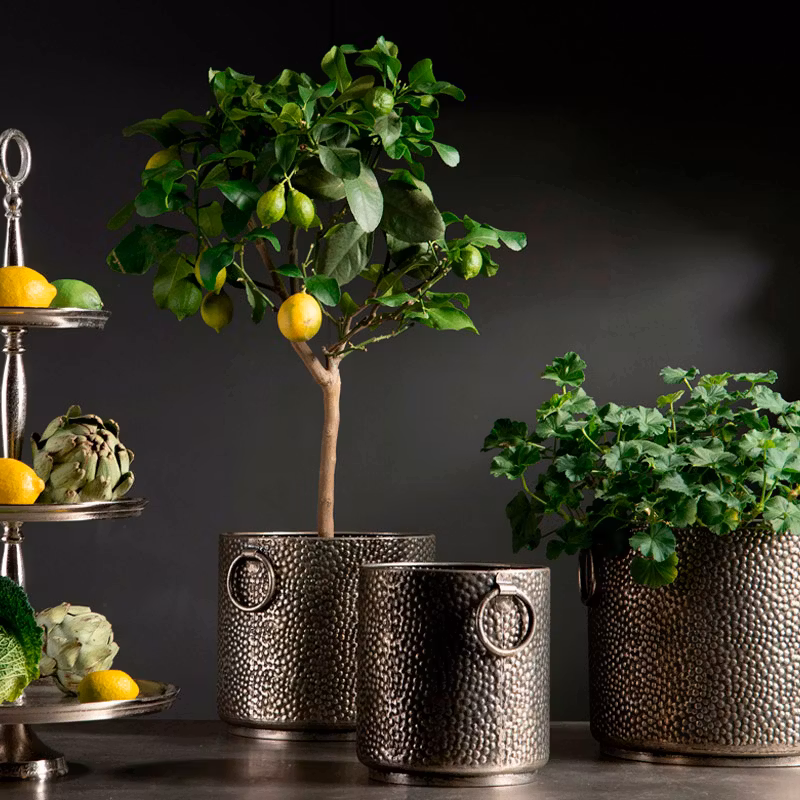 Kruka Hamrad Antik silver set