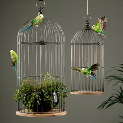 Bur Origo Svart S/2 1 set