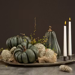 Pumpa Grön Avlång Poly