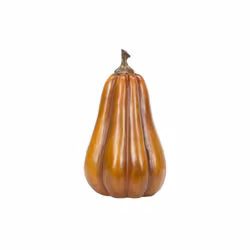 Pumpa Orange Avlång Poly