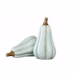 Pumpa Minty Avlång Poly