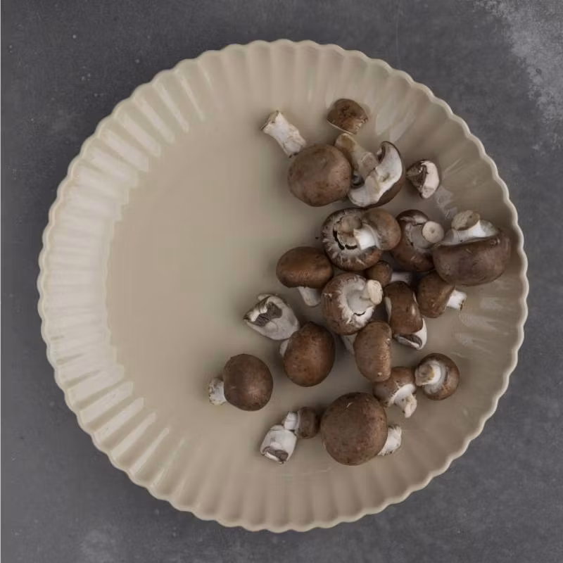 Uppläggningsfat Flora Beiget