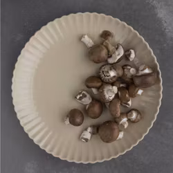 Uppläggningsfat Flora Beiget