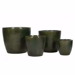 Kruka Kiana Kale Med Plugg 4 Pack