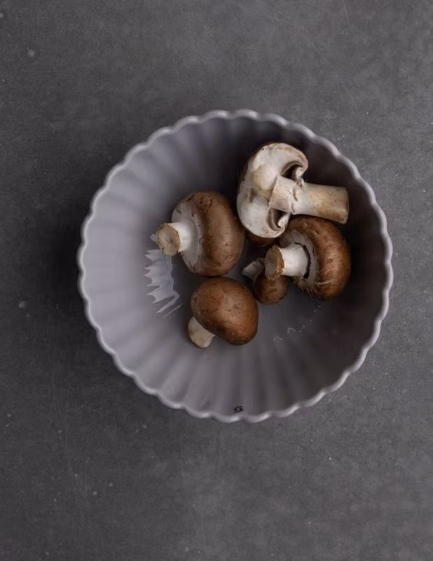 Skål FLORA Grå 15 cm