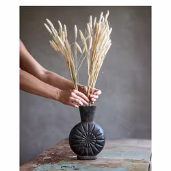 Konstväxt Kaninsvansgräs