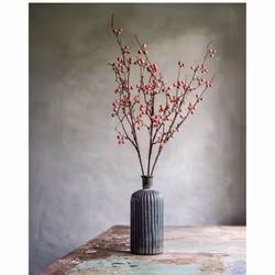 Konstväxt Bärkvist