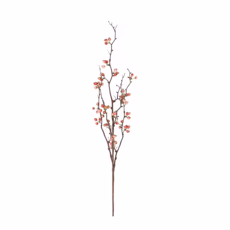 Konstväxt Bärkvist