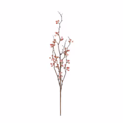 Konstväxt Bärkvist