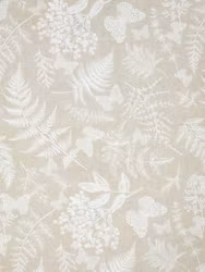 Fern Metervara