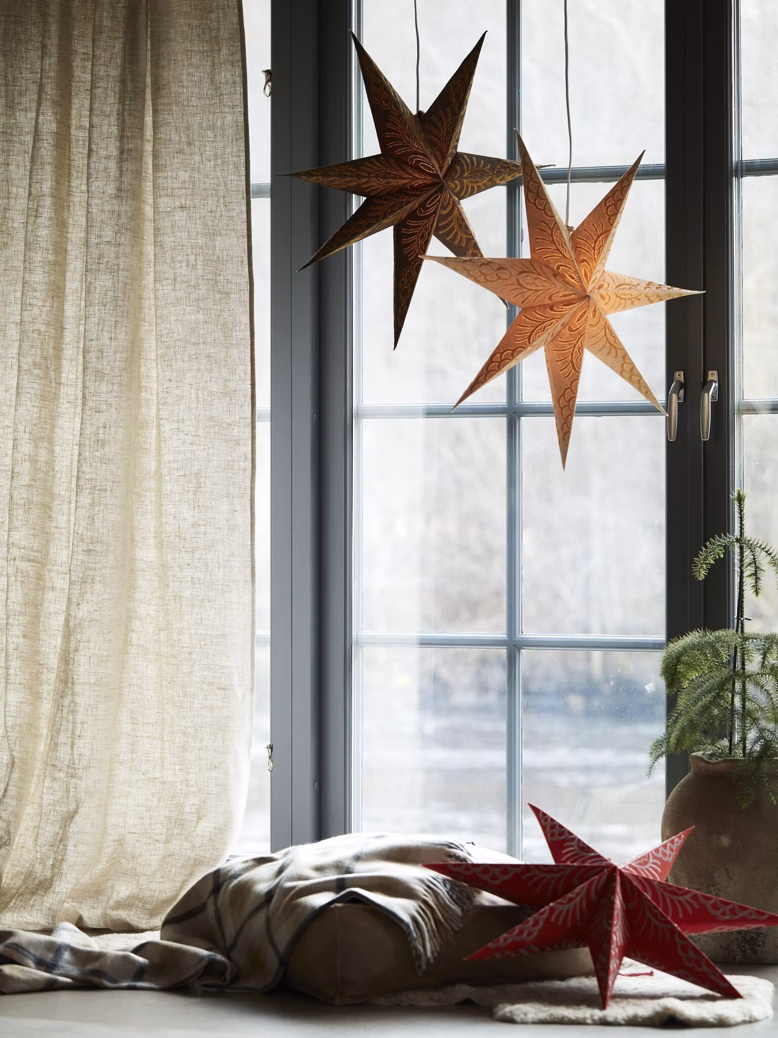 Celeste star – Brown gold 60cm – Brown